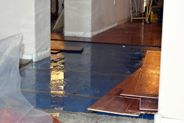 Professional Basement Flood Cleanup technician working in Winnebago, MN
